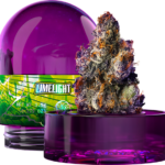 Buy Limelight by Wizard Trees – Premium Indoor Cannabis Flower Online
(3.5g)