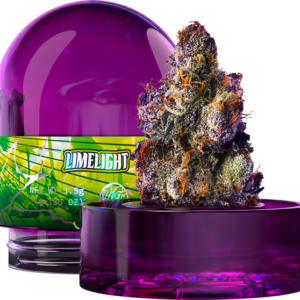 Buy Limelight by Wizard Trees – Premium Indoor Cannabis Flower Online
(3.5g)