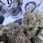 Buy Black Zquid Strain Online – Premium Black Squid by The TenCo at Jokes Up Premium Cannabis