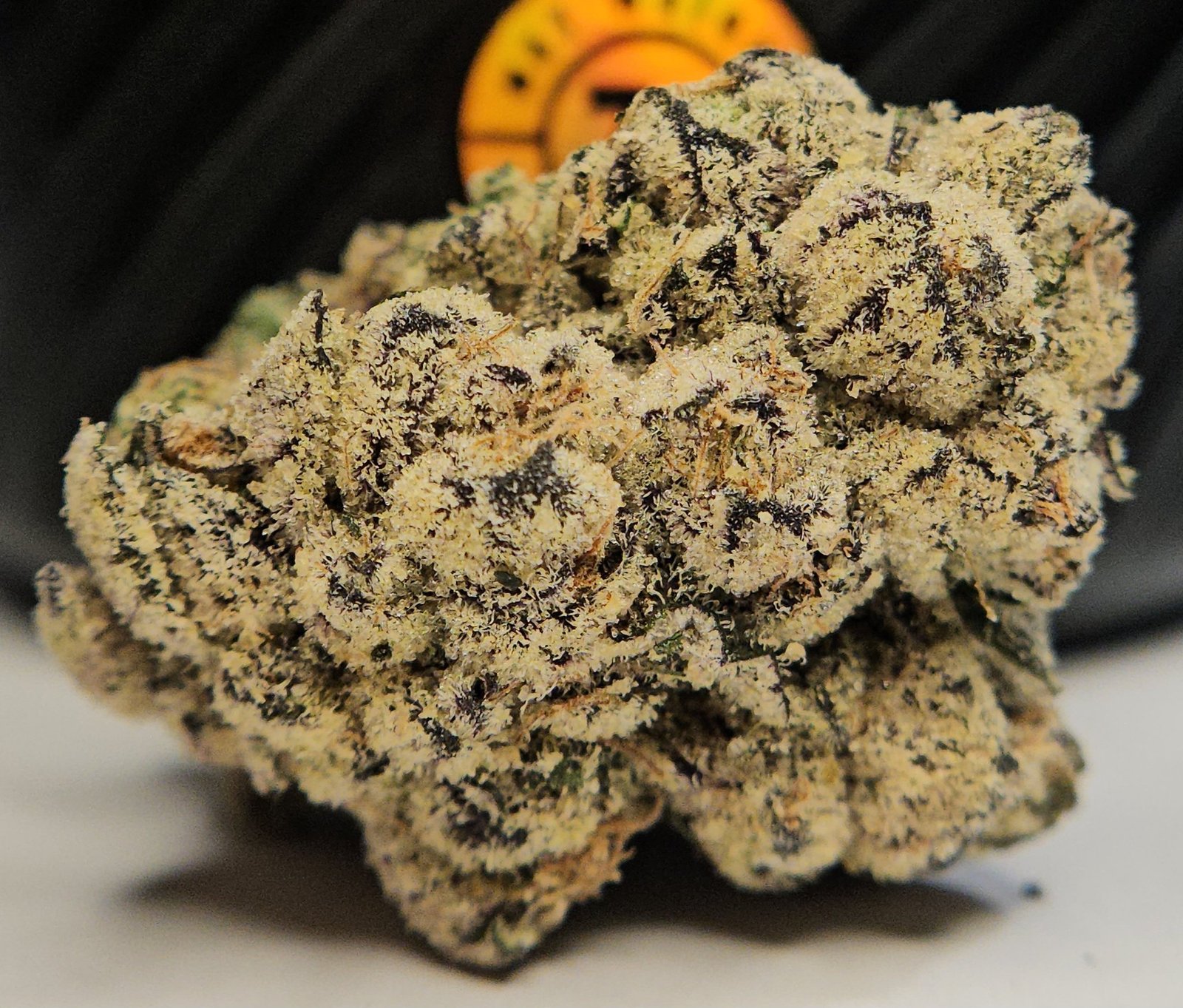 YSL by HALL OF FLAME dense frosty cannabis nugs purple trichomes side view