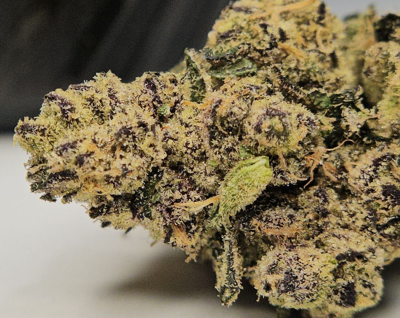 Close-up of ZOURZ by HALL OF FLAME cannabis buds with purple and green trichomes