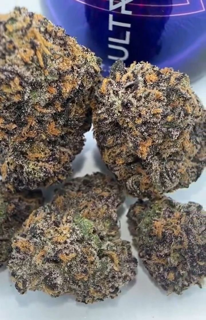 Closeup of resinous ULTRAVIOLET By DOJA buds displaying trichomes and purple coloration