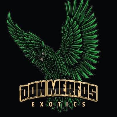 Don Merfos