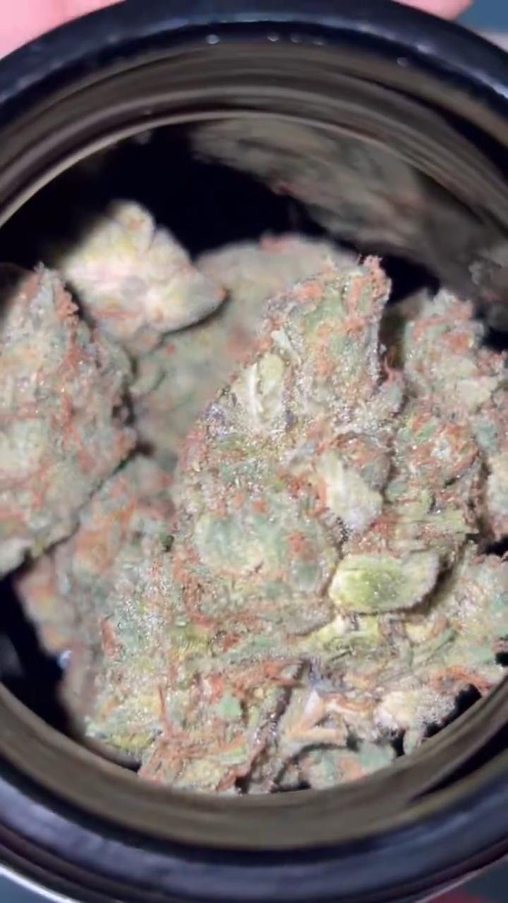 BLUE ZUSHI By TENCO open jar revealing dense frosty green and orange cannabis buds