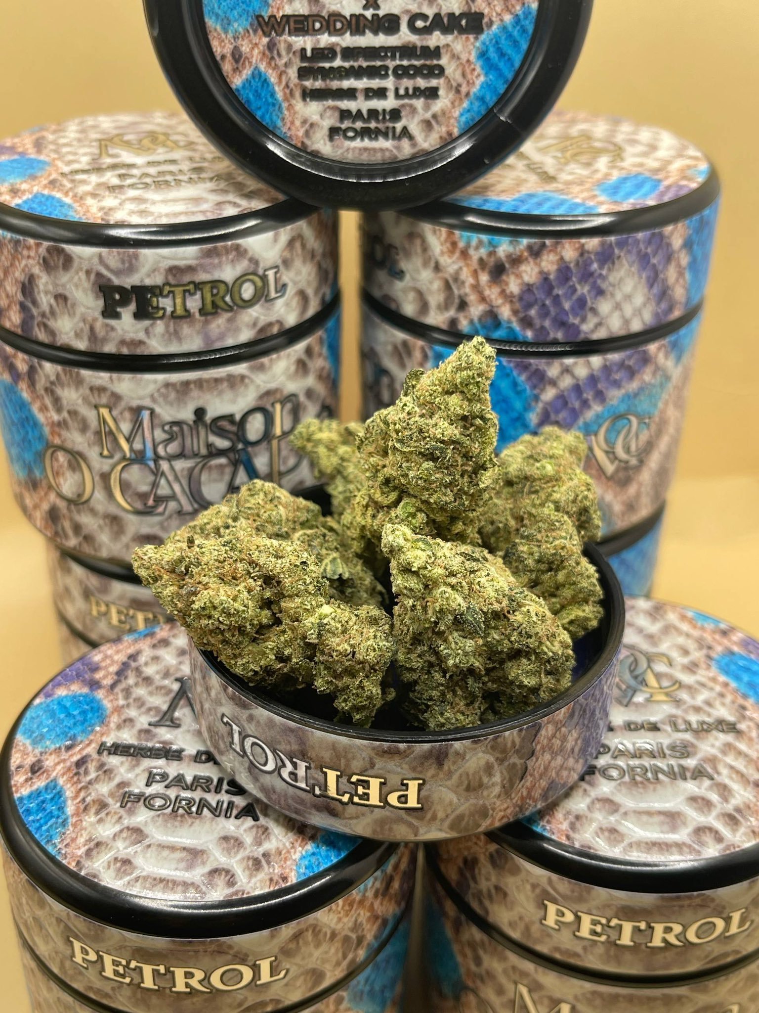 PETROL by MAISON O CACAPO open jar with dense green cannabis buds Kosher Kush x Wedding Cake genetics
