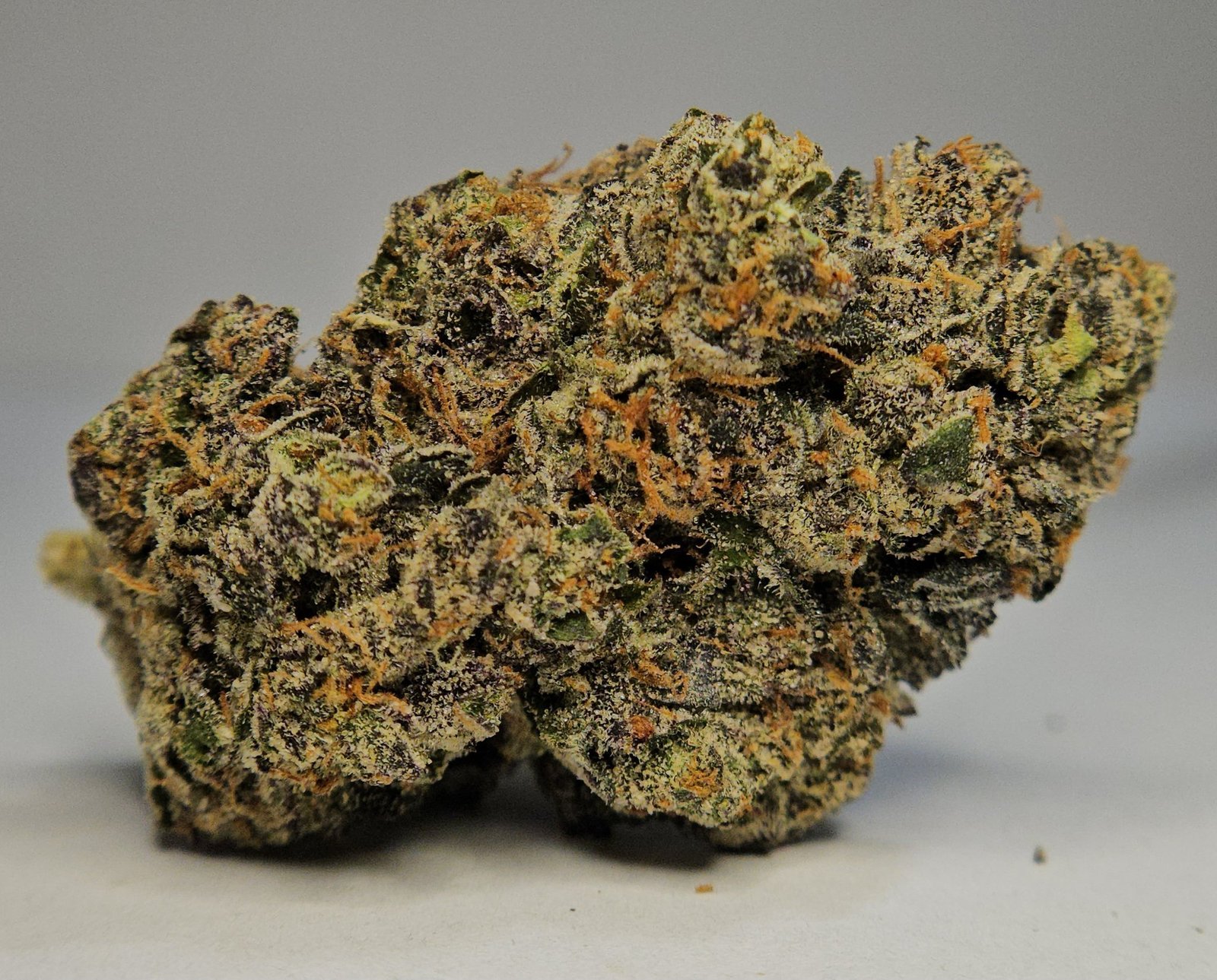 EL PRESIDENTE by LIONBOLDT FARMS sticky resinous bud side profile green purple orange details